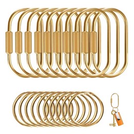 Muitcdo Paquete de 10 llaveros de latón a granel, organizador de llavero dorado para hombres y mujeres con bloqueo de tornillo seguro, bonitos dijes p