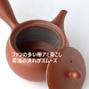 Landscape.com Tokoname Ware Teapot, 221s, Vermilion Mud, 10.1 fl oz