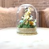 Honey Bee Taxidermy In Glass dome display Oddity, Entomology, Curiosities