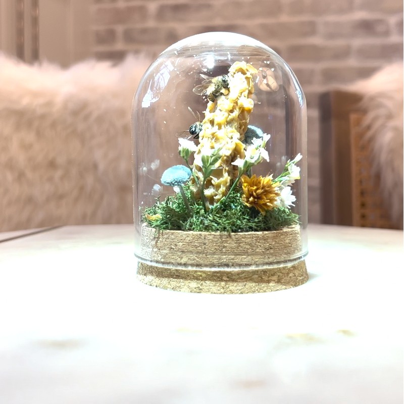 Honey Bee Taxidermy In Glass dome display Oddity, Entomology, Curiosities