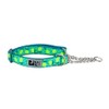 RC Pets Collar de Entrenamiento Martingale de 3/4 Pulgadas, pequeño,