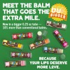 Eco Lips LIP BALM Mongo Kiss 6-Pack 100 Organic Beeswax