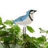 HEEPDD Soil Moisture Sensor Meter with Bird Design, Plant Watering