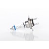 Bosch 1 987 302 174 Bulb