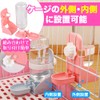 AllBright Water Bottle Water Fountain Drinker Bunny Water Bottle Rabbit