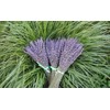 TooGet Lavender Dried Ultra Blue Bundles 400+ Stems (16" -