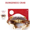 A1FISHER Dungeness Crab Gauge Measure with Ruler Multi Shrimp Clam