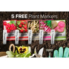 Gardeners Basics, Radish Seeds for Planting 5 Individual Packets - Watermelon, French Breakfast, Champion, Cherry Belle, White Icicle for Your Non GMO Heirloom Vegetable Garden