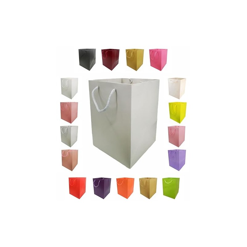 Glossy Vibrant Flower Gift Bag, Bouquet Vase | Valentines |