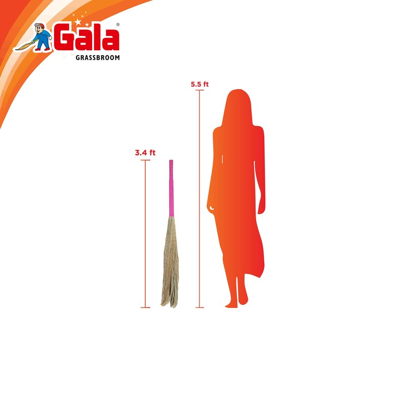 Gala King Kong Grass Floor Broom - Pack of 1,