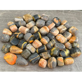 1/4 Pound Bumble Bee Jasper Tumbled Stones, Polished Bumble Bee Jasper Rock, Genuine Bumble Bee Jasper Stone Bulk Lot