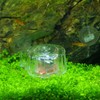 HIERYAN Snail Tool Aquarium Snail Trap Snail Box with Fishing