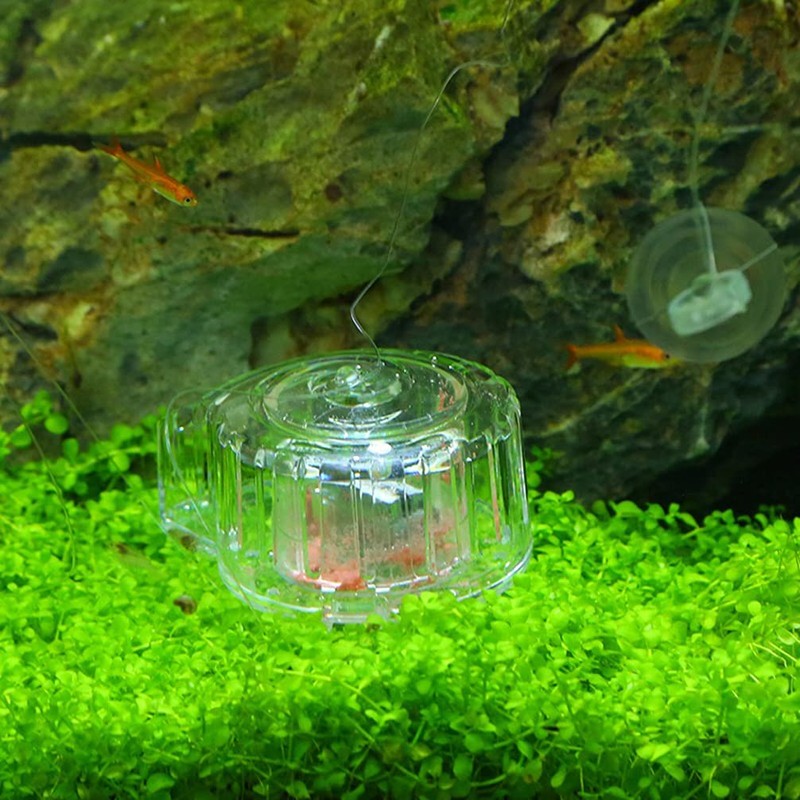 HIERYAN Snail Tool Aquarium Snail Trap Snail Box with Fishing