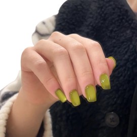 Cat Eye Press on Nails Handmade Short Oval/Square/Round False Nails with French Tip/Aurora/Magnetic Shimmer Designs (Shimmer#Lettuce, Medium)