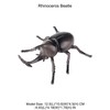 AENIMELY Large Rhinoceros Beetle Figurine – Hollow Realistic Insect Bug
