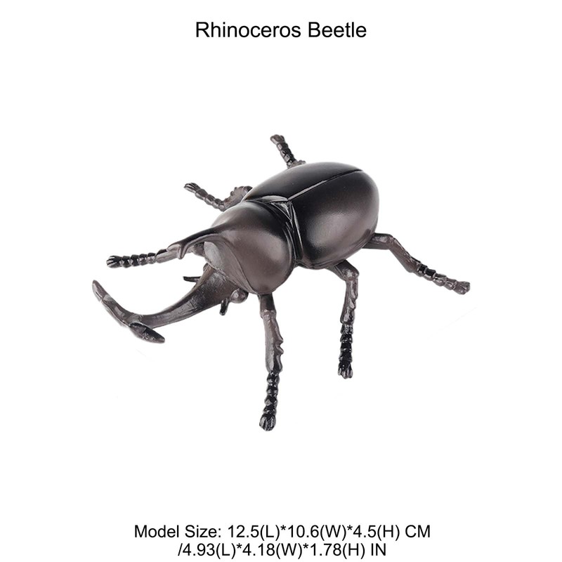 AENIMELY Large Rhinoceros Beetle Figurine – Hollow Realistic Insect Bug