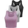 Porvike Sports Crop Tank Tops for Women Cropped Athletic Yoga