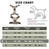 Dog Harness, No-Pull Dog Harness, Chest Harness for Small, Large,