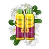 Alba Botanica Hawaiian Plumeria Conditioner, 12 oz