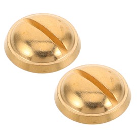 NOLITOY 2pcs Saxophone Repair Accessories Neck Receiver Attach Screw Sax Instrument Parts and Accessories Saxophone Repair Parts and Accessories Alto Saxophone Repair Kit Golden Metal