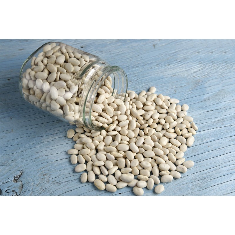 Hunza Organic Great Northern Beans (2 lbs)