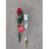 Unbranded Red Audio Recording Rose