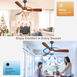 BvenuBigLite Ceiling Fans with Lights and Remote: 52-Inch Ceiling Fan 3 Blades Low Profile Outdoor - Walnut Ceiling Fans with Remote APP Control Quiet Reversible DC Motor for Patio Living Room