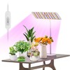 KINGPLUS Grow Lights with Stand, Full Spectrum Growing Light for