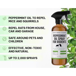 Kate Peppermint Oil Spray for Rodents, Mice, Raccoon, Bat and Squirrels. Rodent Repel