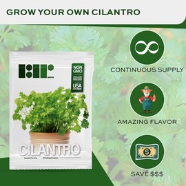 500+ Cilantro Seeds for Planting - Heirloom Non-GMO USA Grown Herb Seeds in Premium Protective Packaging - AKA Coriander, Chinese Parsley, Coriandrum Sativum - by RDR Seeds