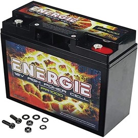 Reikken PR1000 Energie 1000 Watt 12 Volt Power Cell