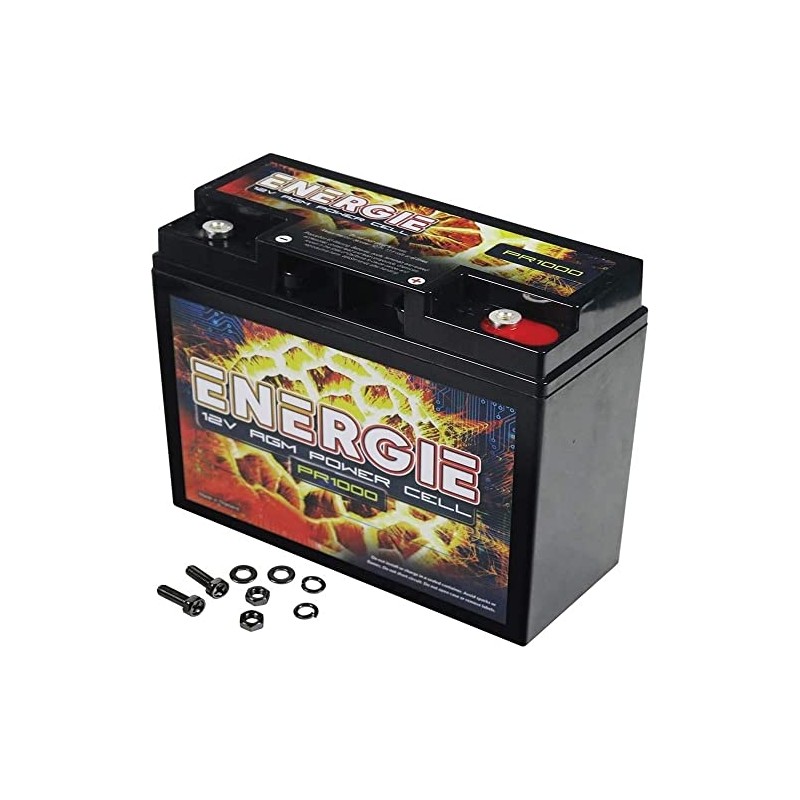 Reikken PR1000 Energie 1000 Watt 12 Volt Power Cell