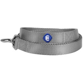 Blueberry Pet Essentials Durable Classic Dog Leash | Basic Nylon Dog Leash | 5ft. x 3/4" Medium Dog Leash | Flint Gray Dog Leash | Standard Dog Leashes & Lightweight Dog Leash for Training