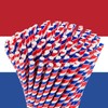 Paper Straws Long Netherlands Design, Pack of 100, 16 cm