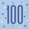 Unique 83564 Blue Dots 100th Birthday Luncheon Napkins Disposable |