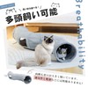 Pawz Road Cat Tunnel, Suede Toy, For Rabbits and Small