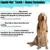 LIQUID-VET K9 Teeth & Gums Advanced Formula, Plain, 8 oz
