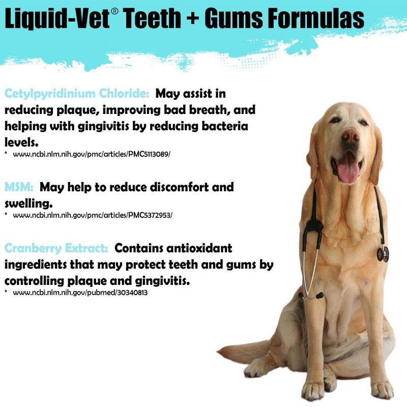 LIQUID-VET K9 Teeth & Gums Advanced Formula, Plain, 8 oz