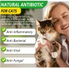 ALIVO 2 oz Natural Antibiotic Cats Pet Supplement Supports Immune