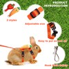 Bunny Harness and Leash for Rabbits,2 Pack Adjustable Bunny Harness,Cute