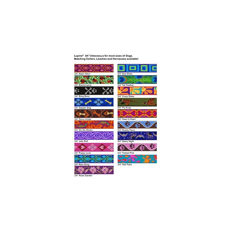 LupinePet Originals 3/4" Rose Garden 15-25" Adjustable Collar for Large