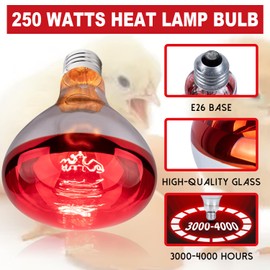 3 Pack 250 Watt Heat Lamp Bulbs for Chicks, R40 Brooder Heat Lamp for Chickens, Infrared Reflector Heat Bulbs for Brooder Heater, Incandescent Heating bulb for Pet, Bathroom, Food Service