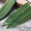 100 pcs Sushi Bamboo Leaf - Banana Leaves Make Zongzi