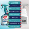 Simple Solution Extreme Cat Stain Eliminator for Strong Odor, Pet