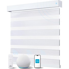 JaeJaes Smart Zebra Blinds for Windows, Alexa Motorized Blinds with Remote Control, Automatic Electric Power Zebra Shades for Indoor Windows (27" W x 72" H, White)