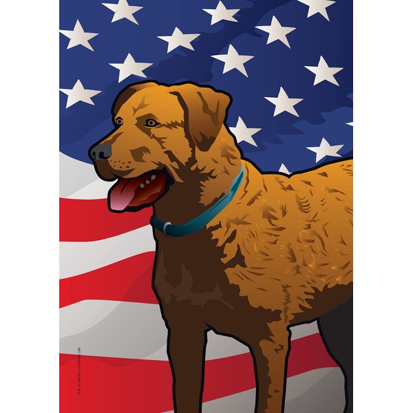 USA Chessie Garden Flag by Joe Barsin, 12x18, Chesapeake Bay