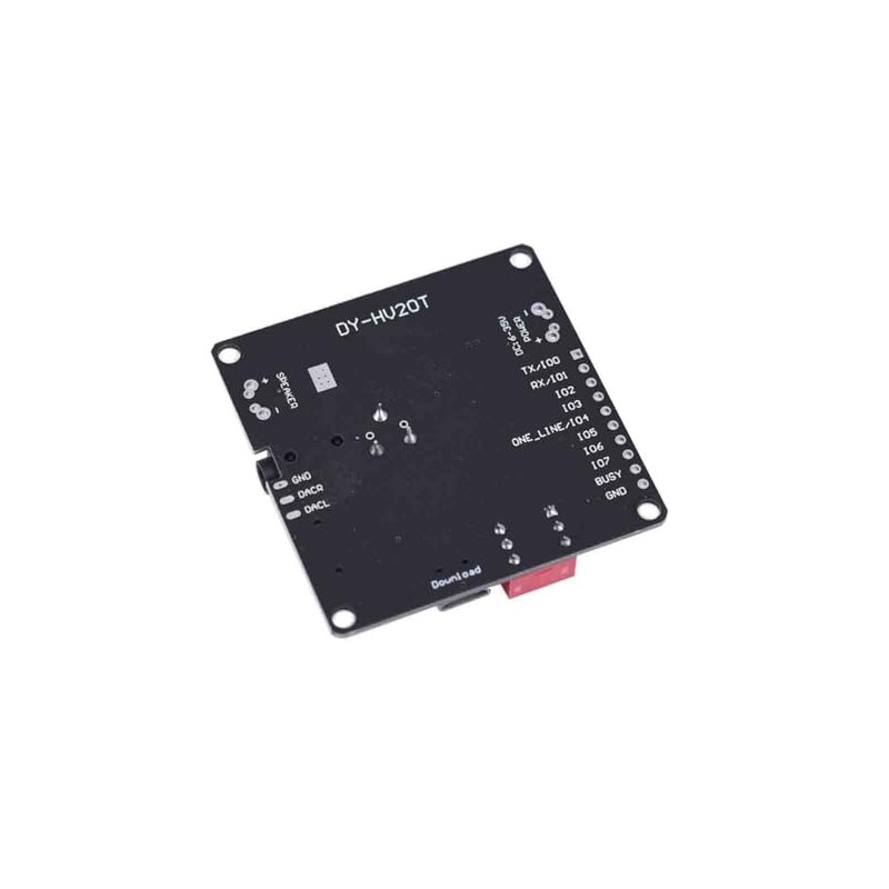 2 x DY-HV20T HV20T 20W Modules DC 6-35V 24-bit