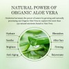 Aloderma Aloe Brightening Face Toner Made with Organic Aloe Vera