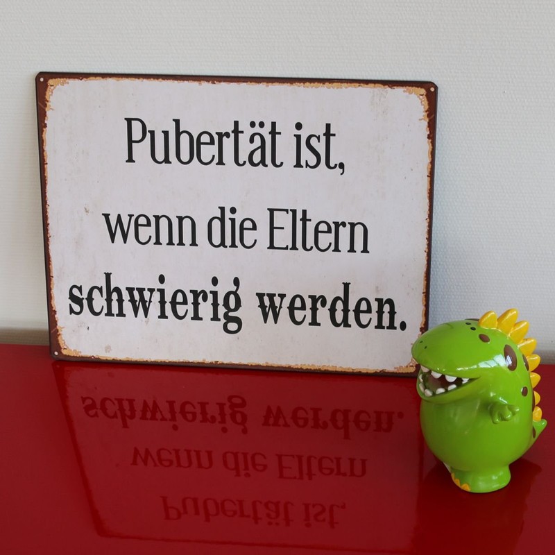Unbekannt LaFinesse - Puberty is When Parents Get Difficult Metal