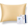 Yumeno Silk Pillowcase 100% Silk, Double-sided Type, 16.9 x 24.8